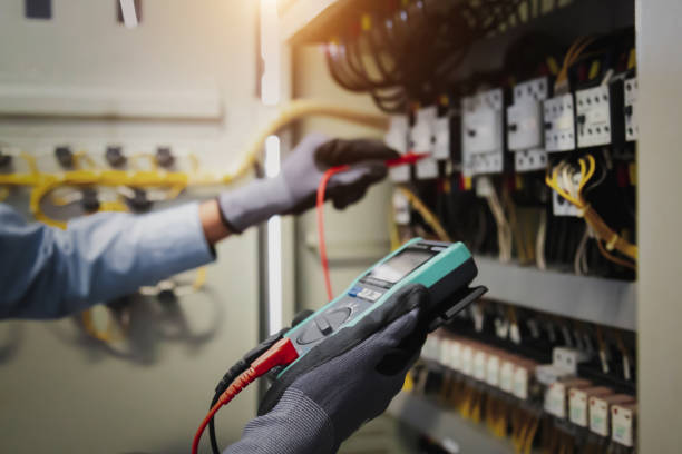 Best Electrical Panel Upgrades  in Rayne, LA